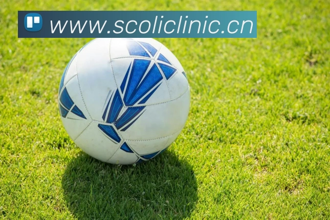 云顶集团官方入口平台生态图